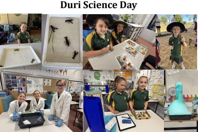 science day